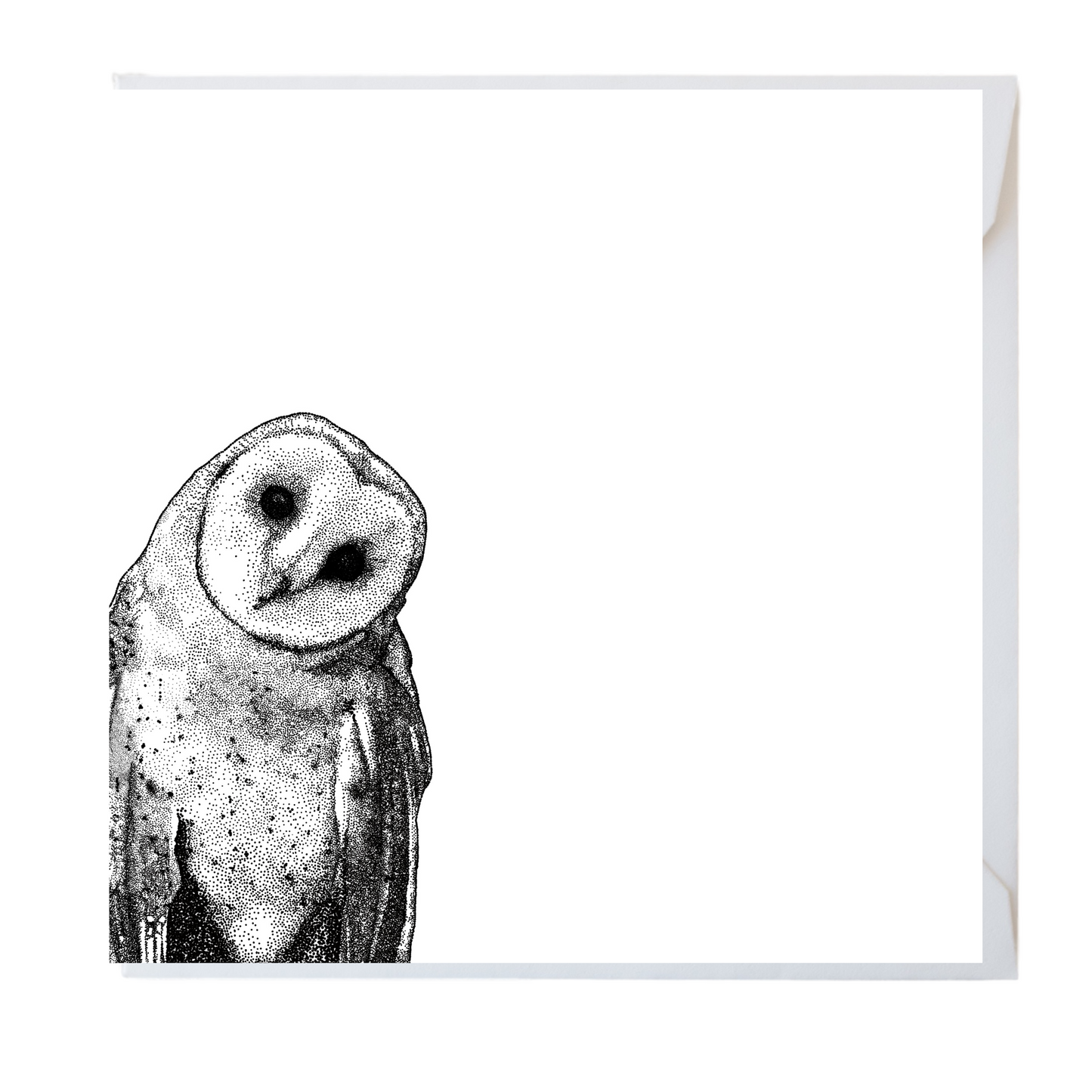 Black & White Owl Card