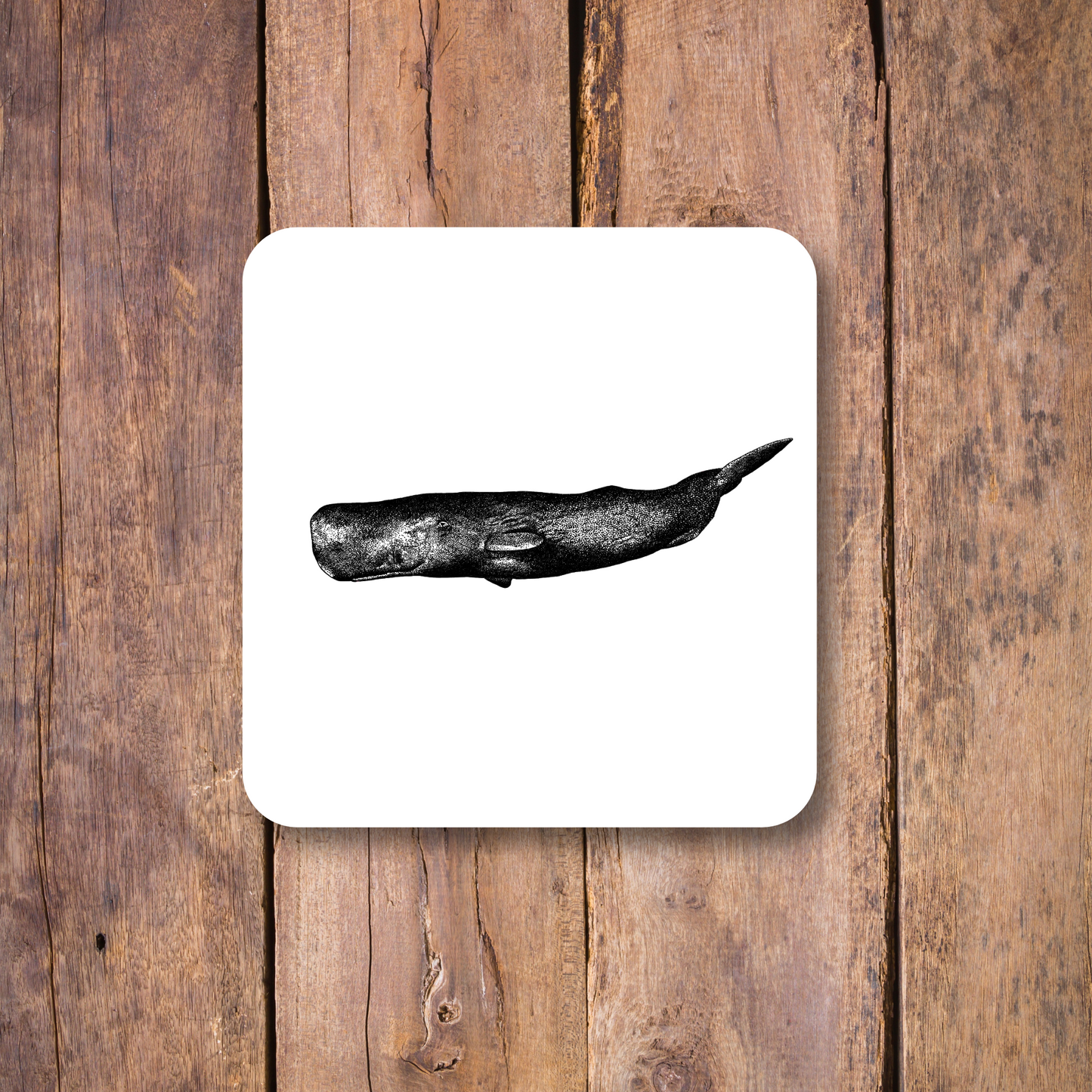 Sperm Whale Coaster