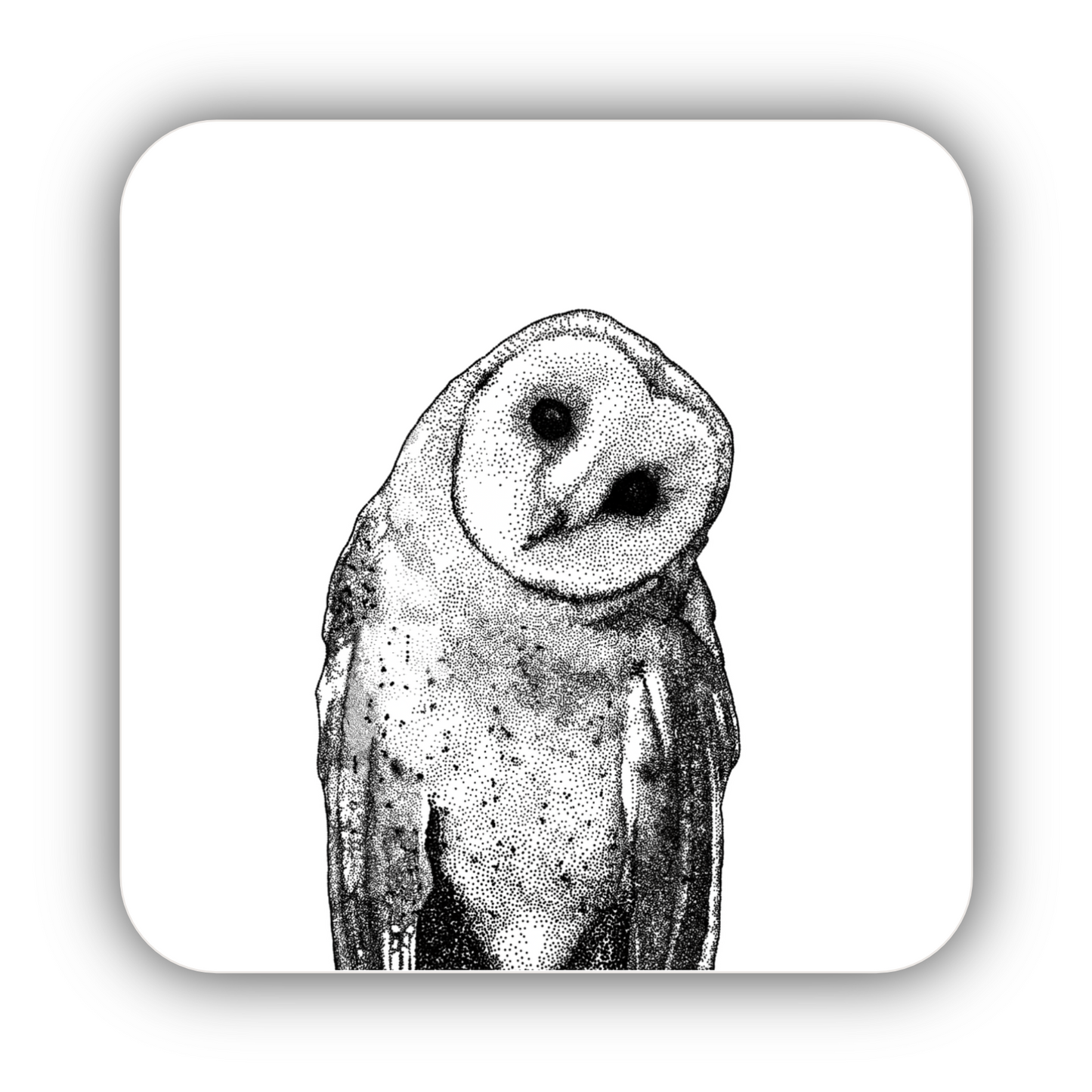 Owl Coaster