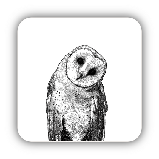 Owl Coaster