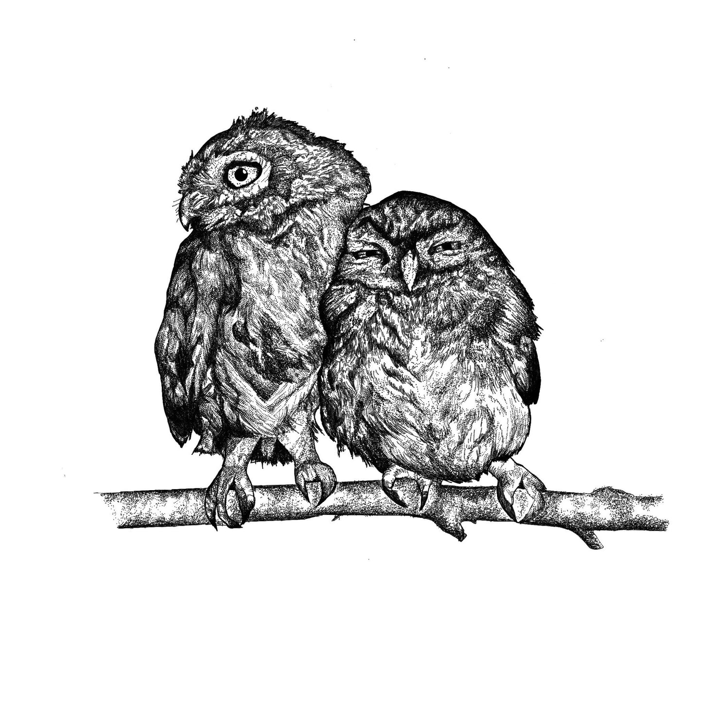 Cuddling Owls Print