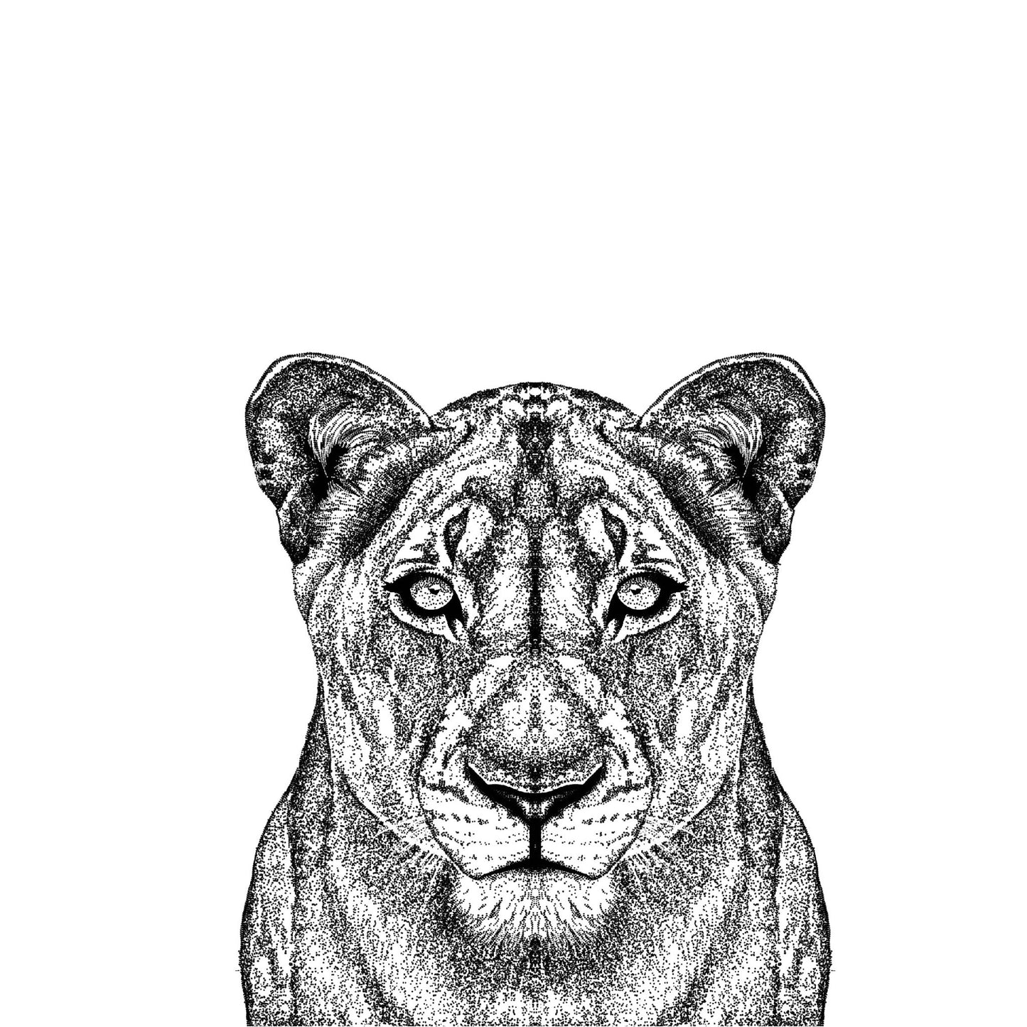 Lioness Print