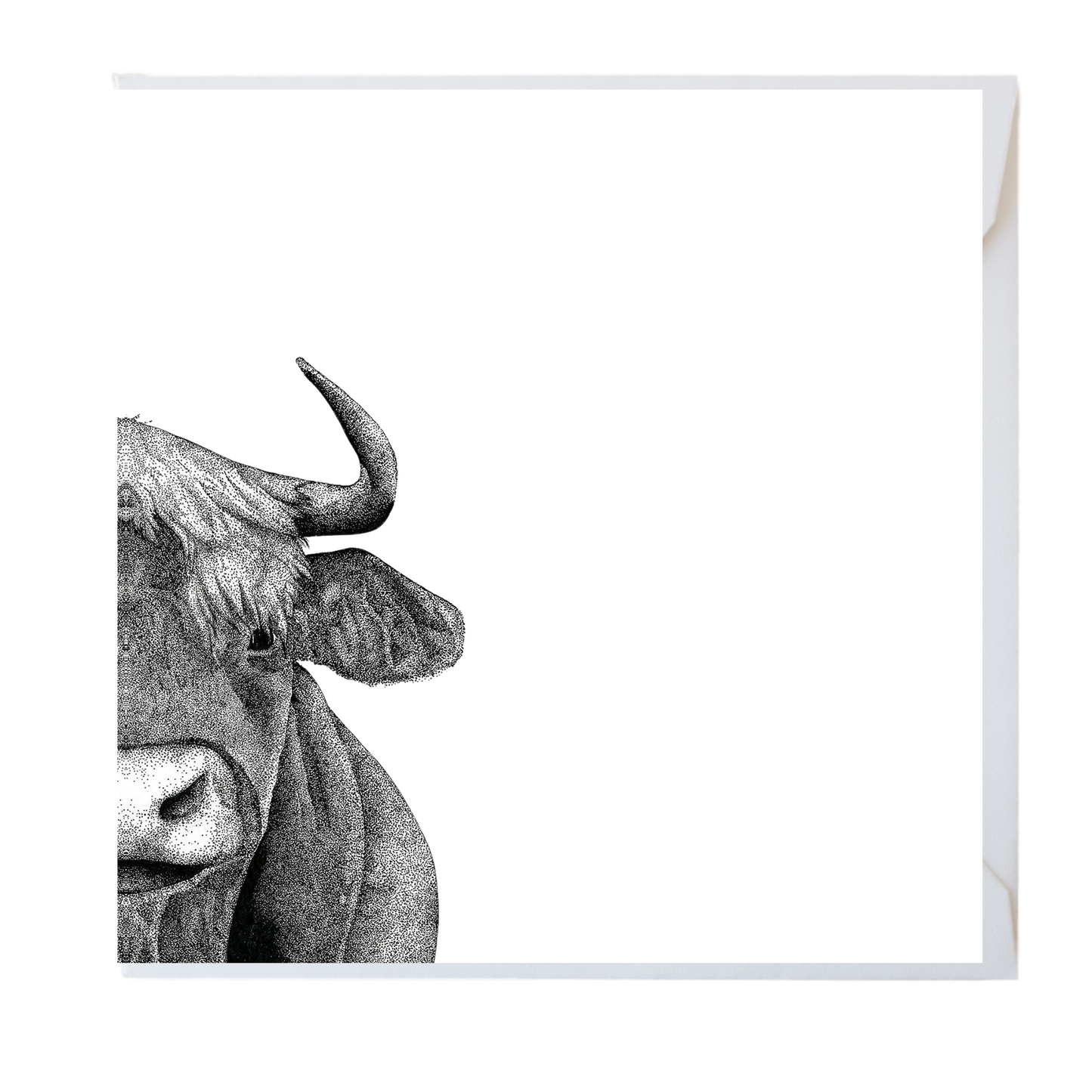 Cow Greeting Card