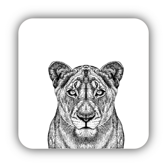 Lioness Coaster