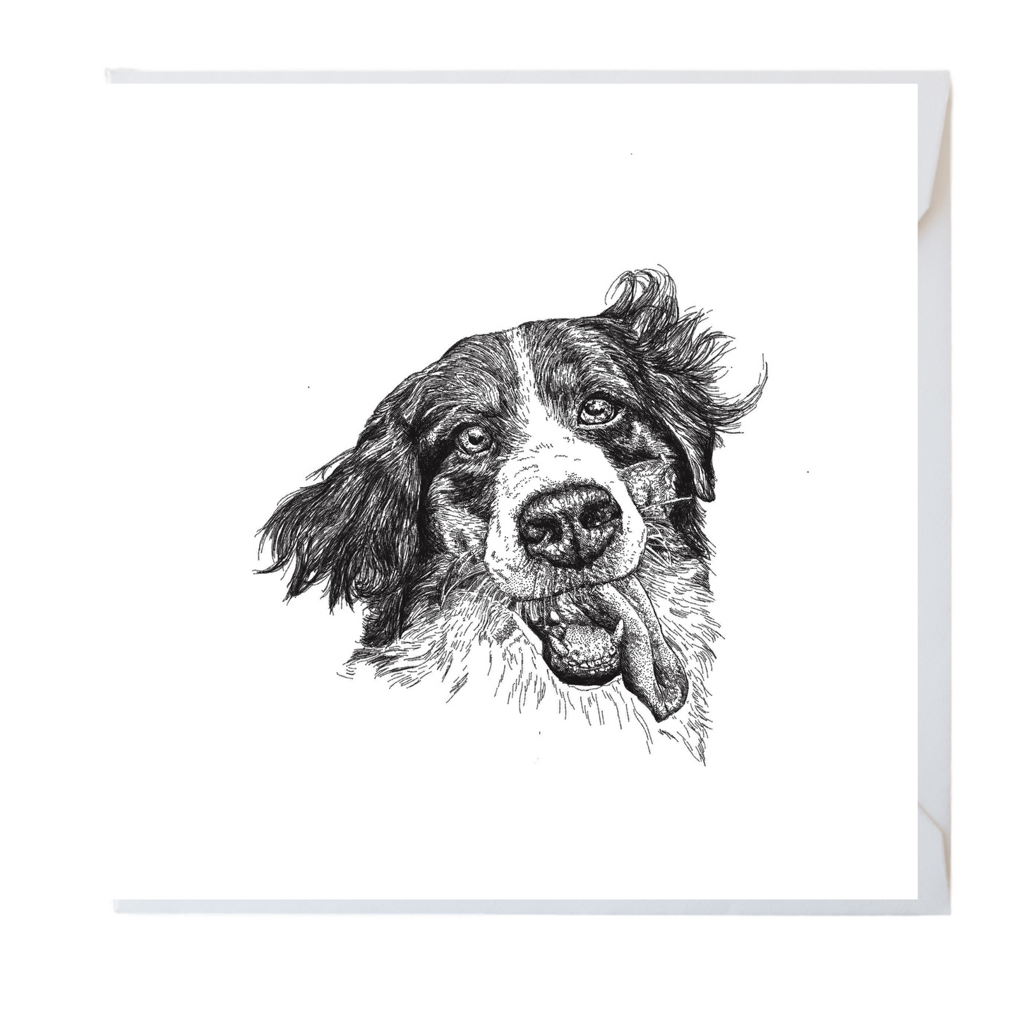 Border Collie Greeting Card