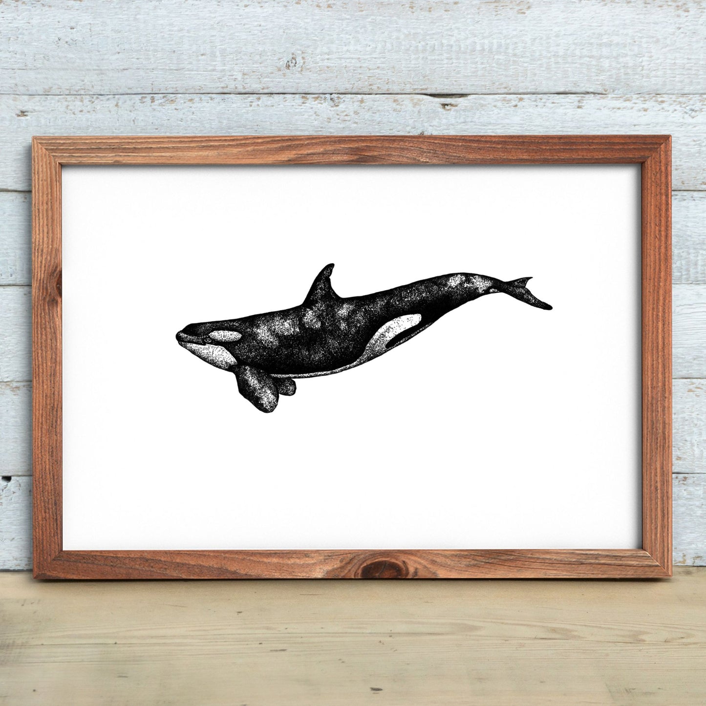 Orca Whale Print