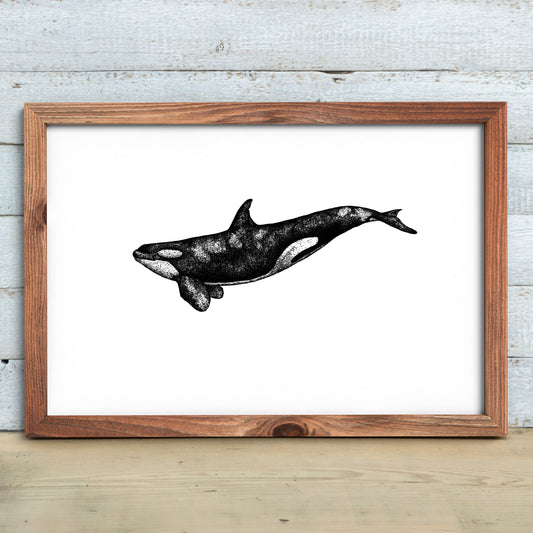 Orca Whale Print