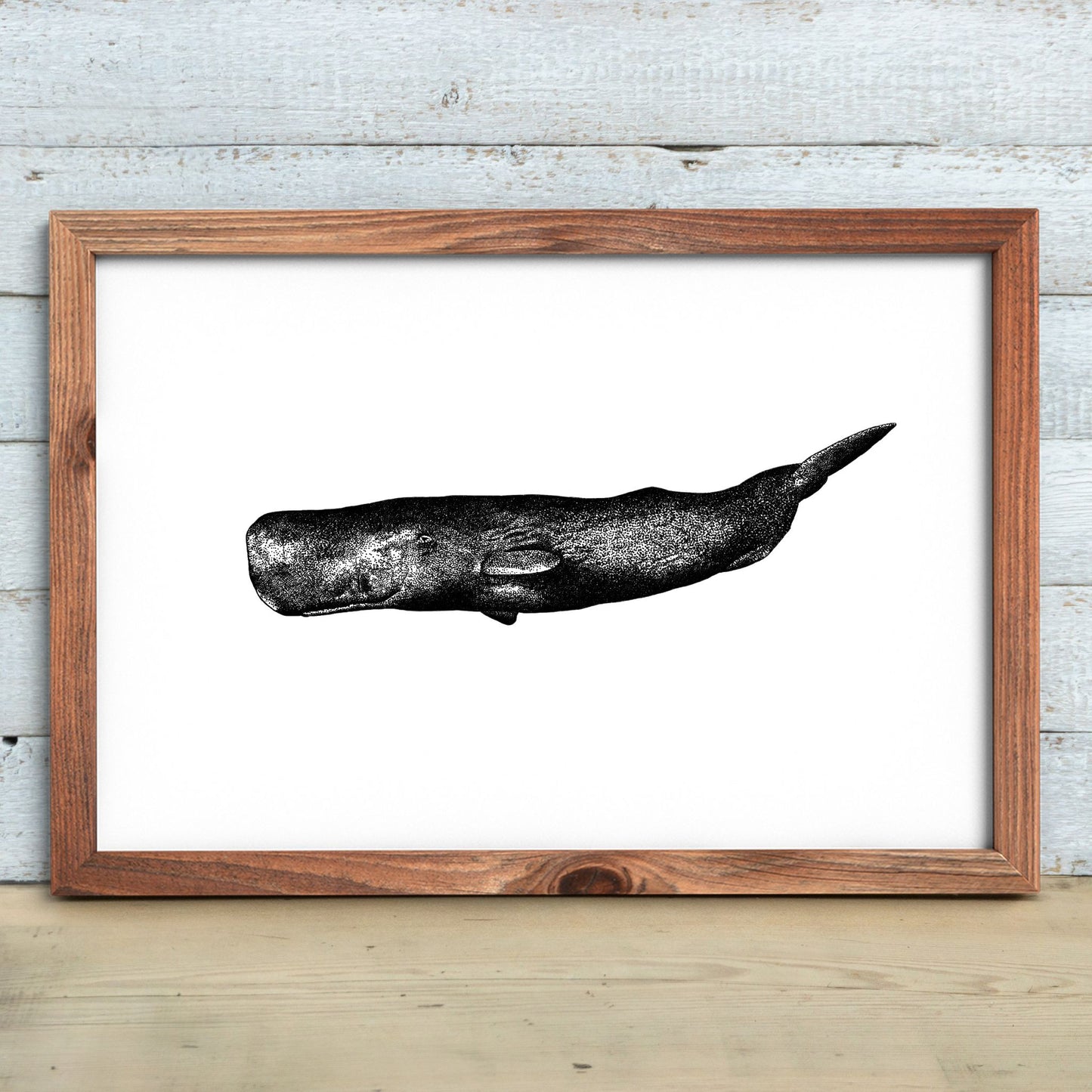 Sperm Whale Print