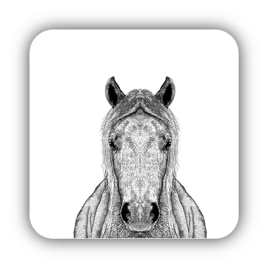 Horse Coaster
