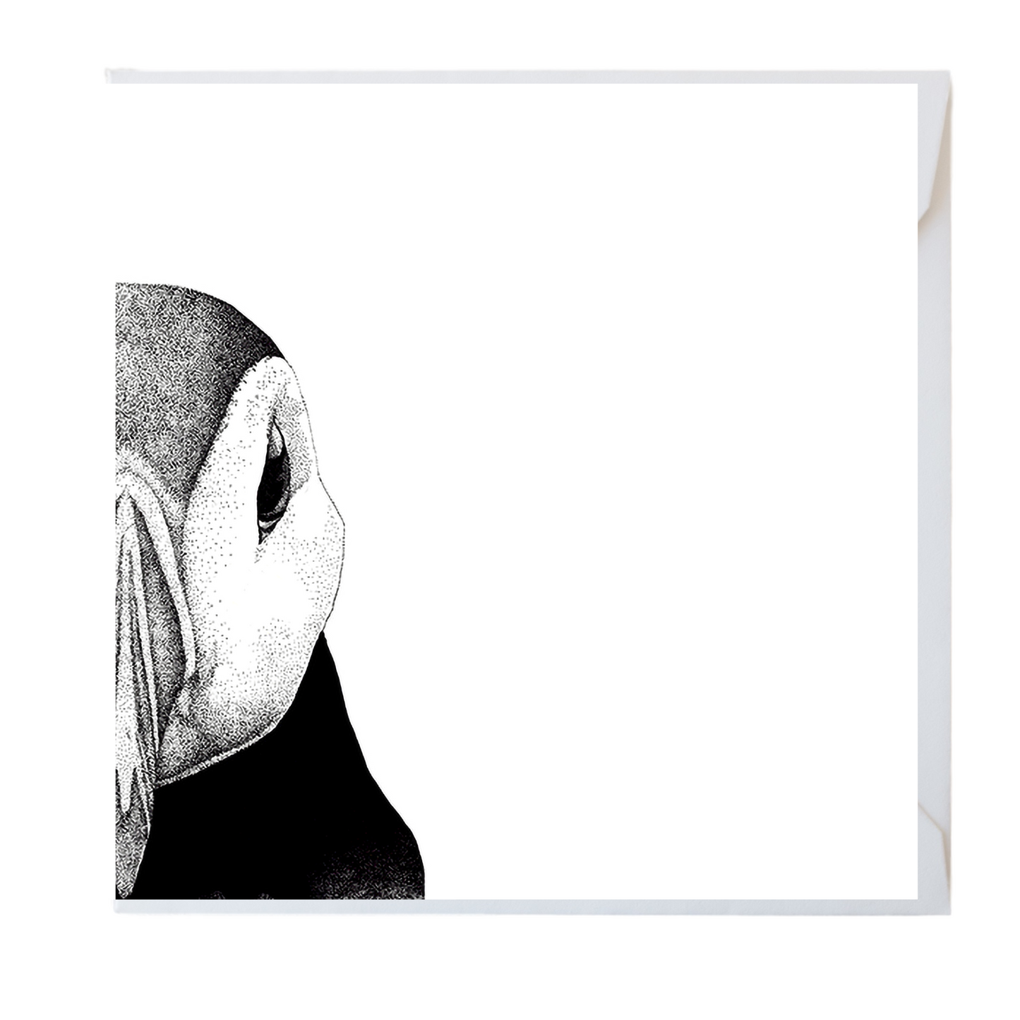 Puffin Greeting Card