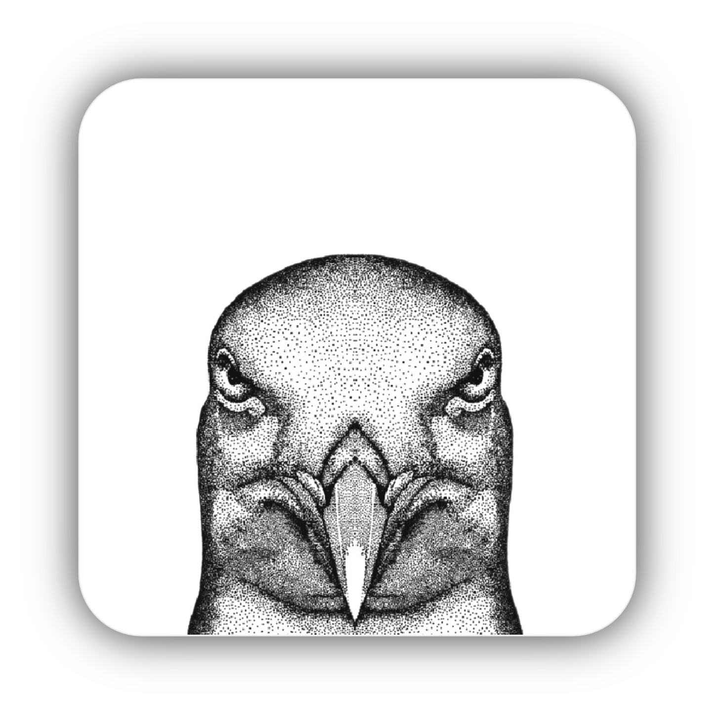 Seagull Coaster