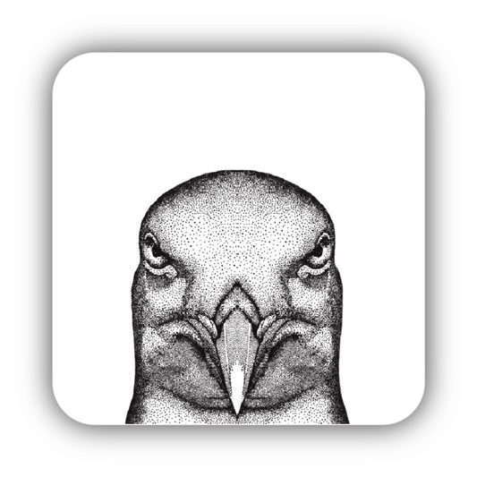 Seagull Coaster