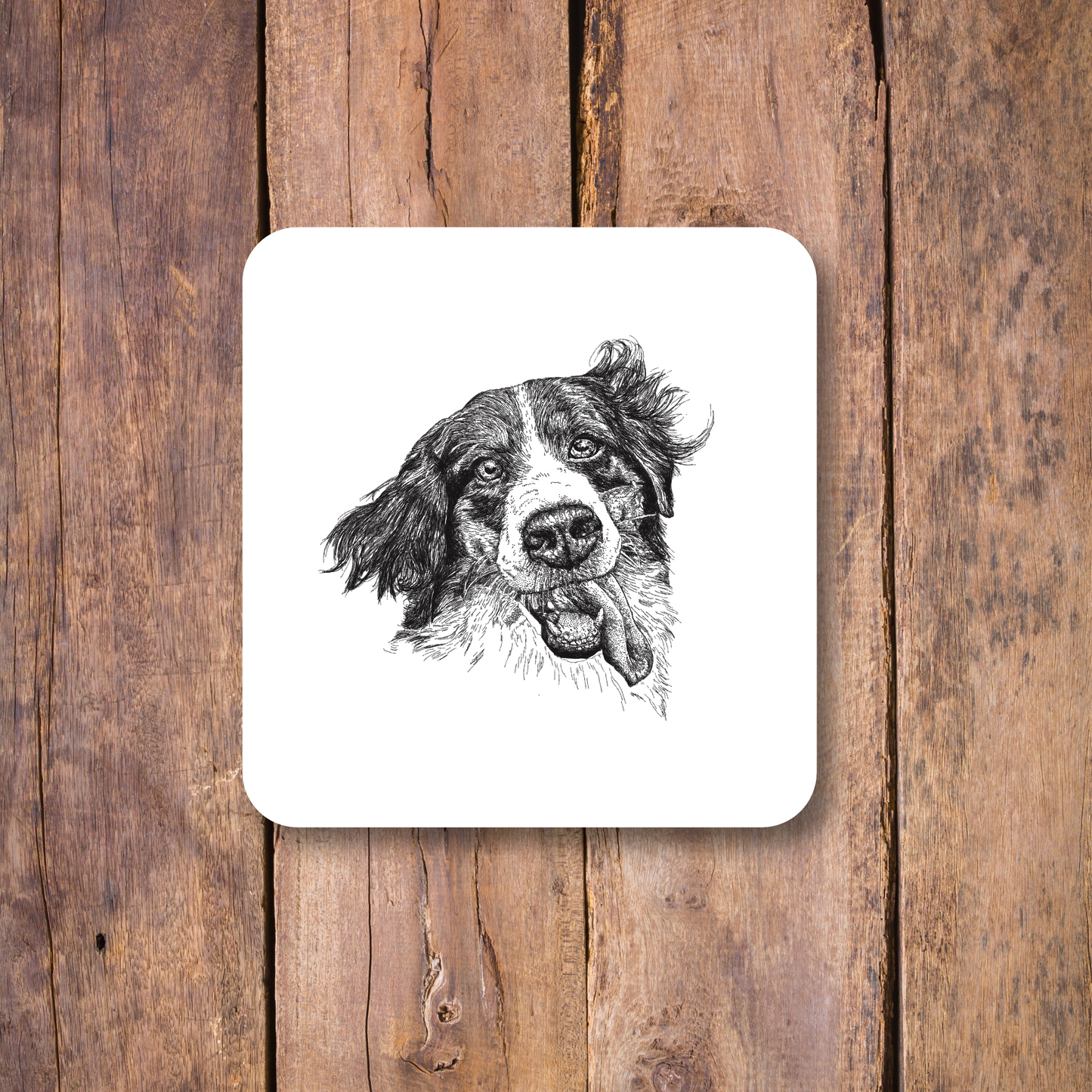 Border Collie Coaster
