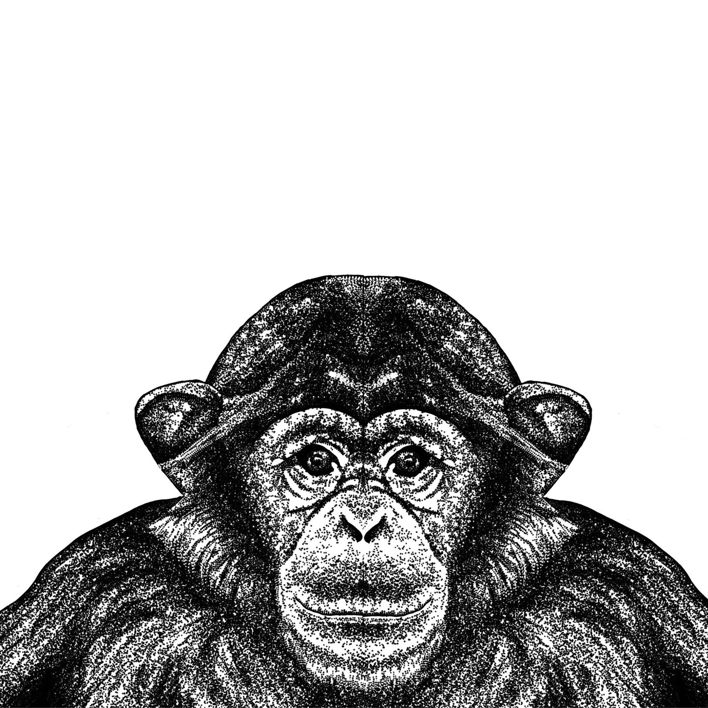 Chimp Print