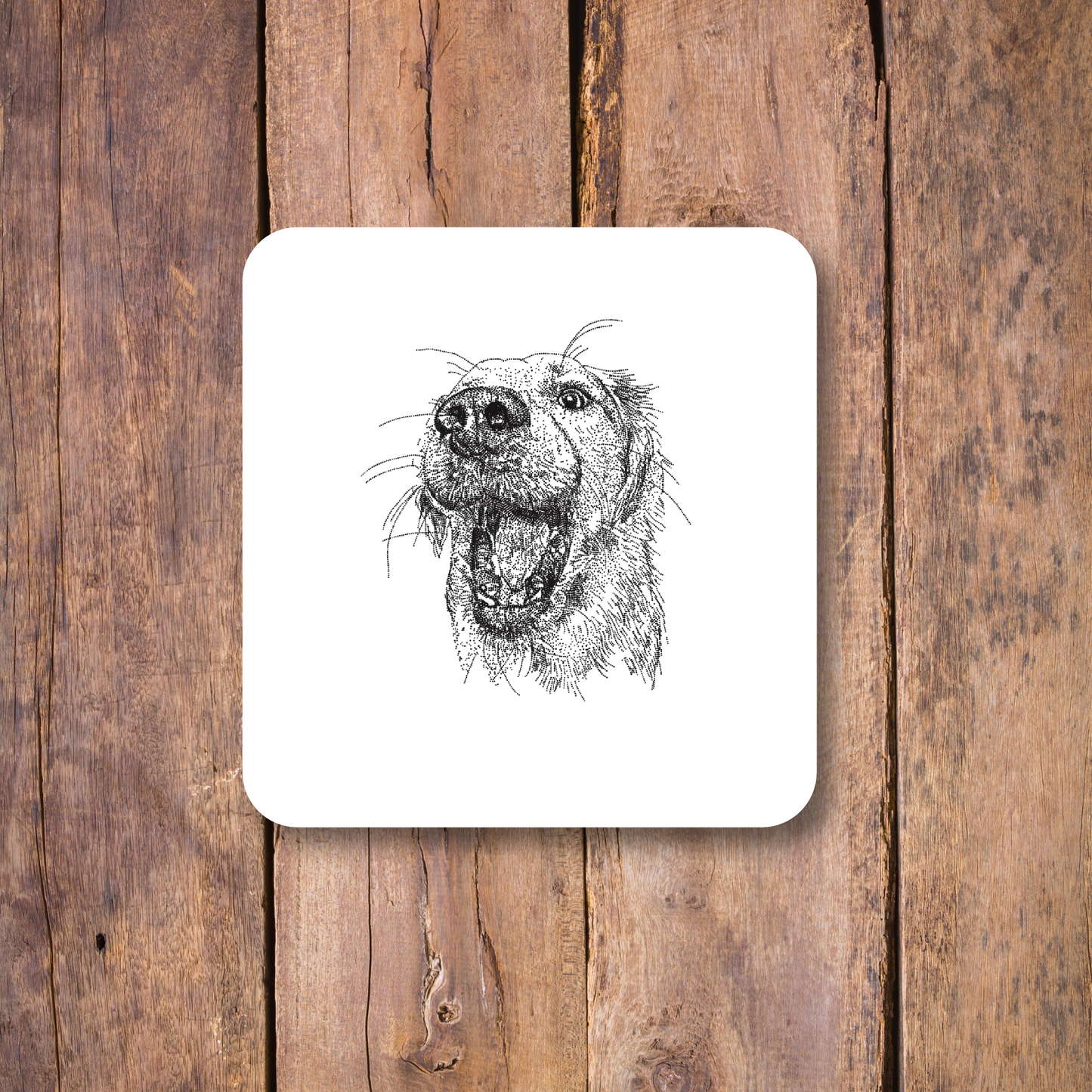 Labrador Coaster