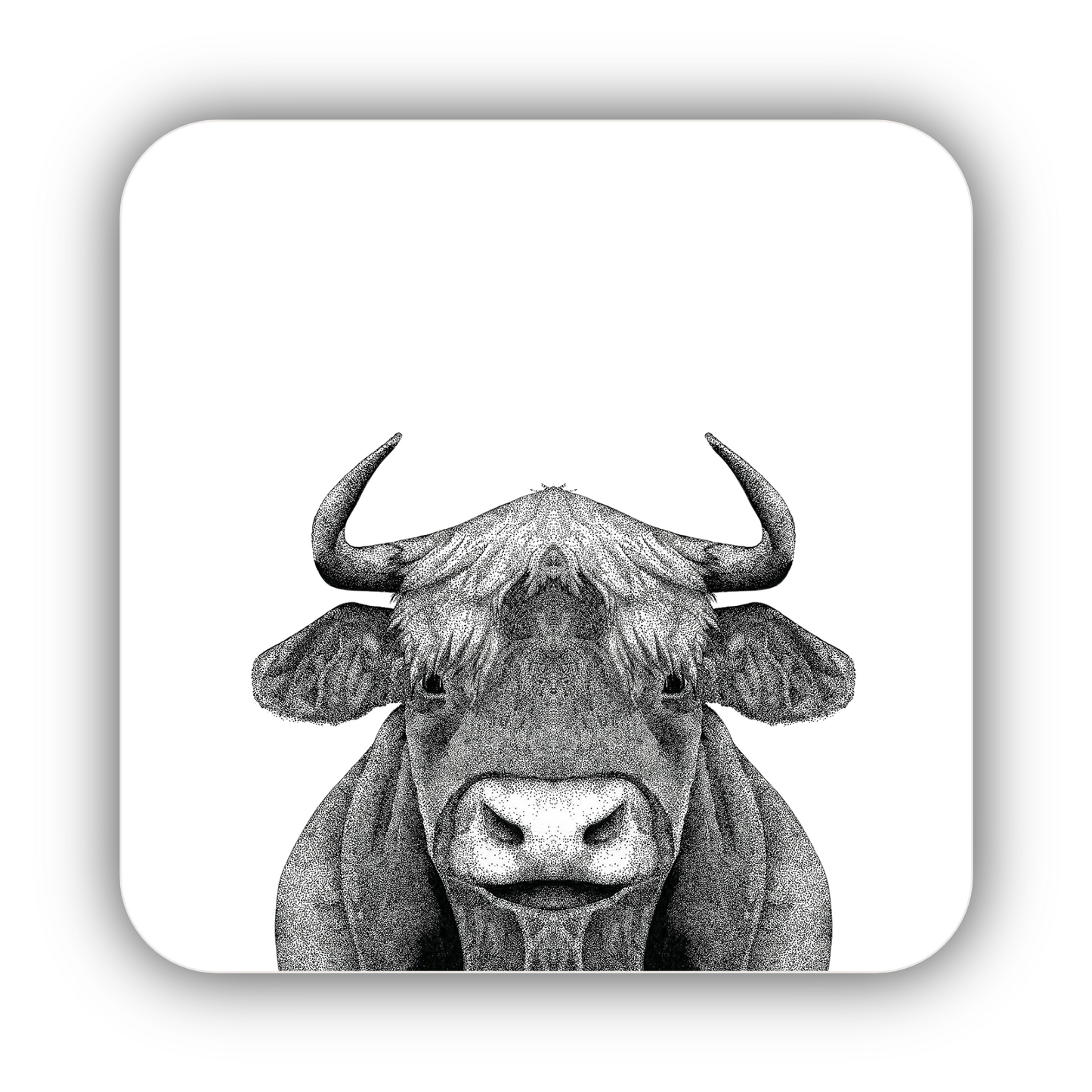 Highland Cow Coaster