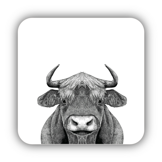 Highland Cow Coaster