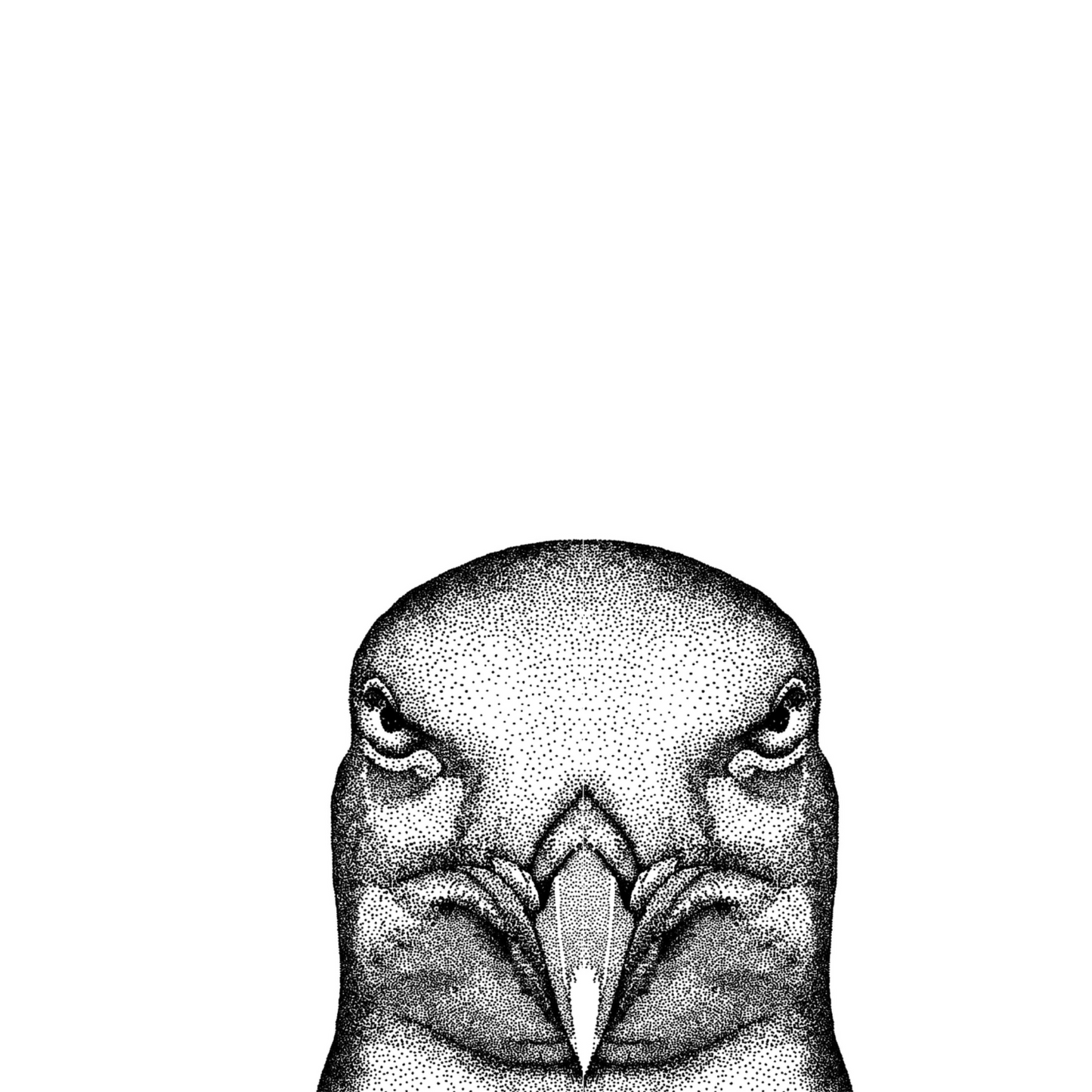 Seagull Pointillism Pen Illustration