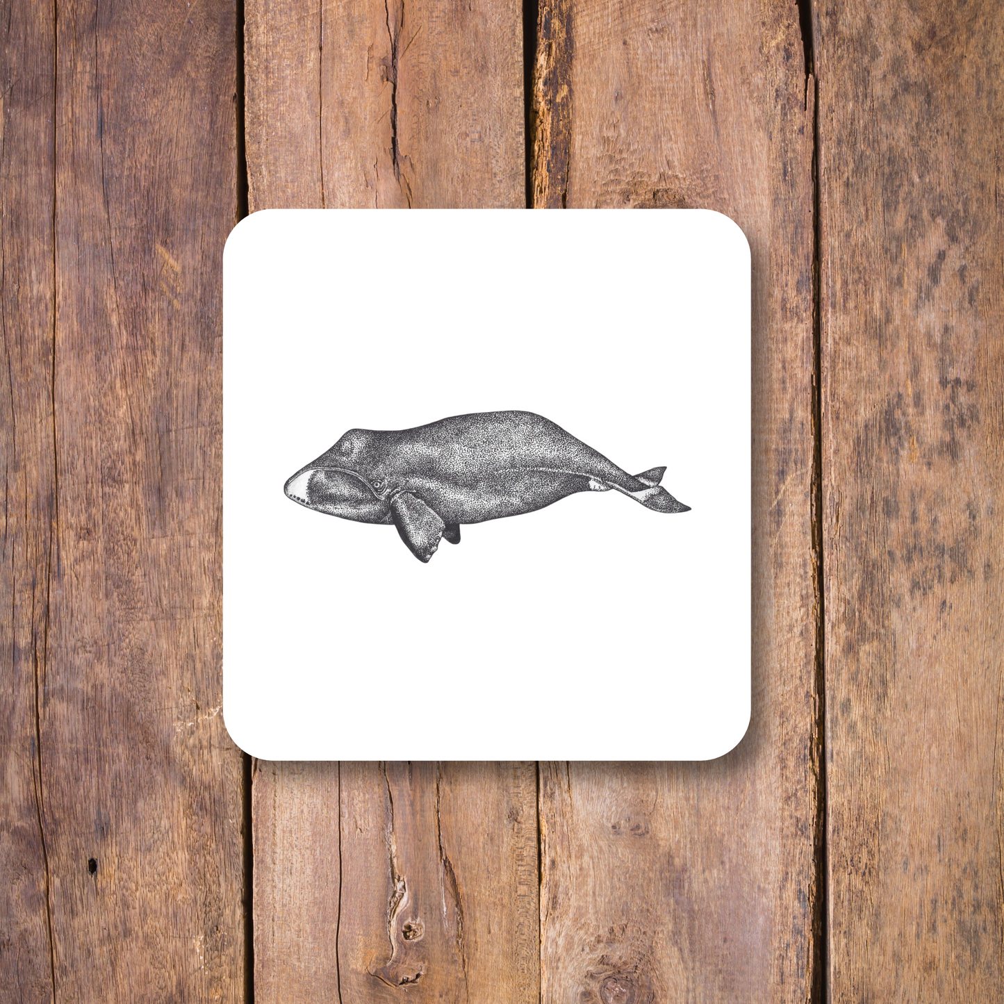 Bowhead Whale Coaster