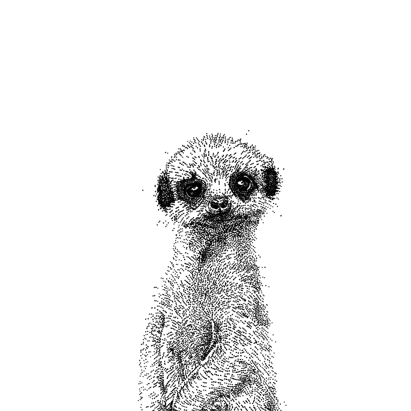 Meerkat Print