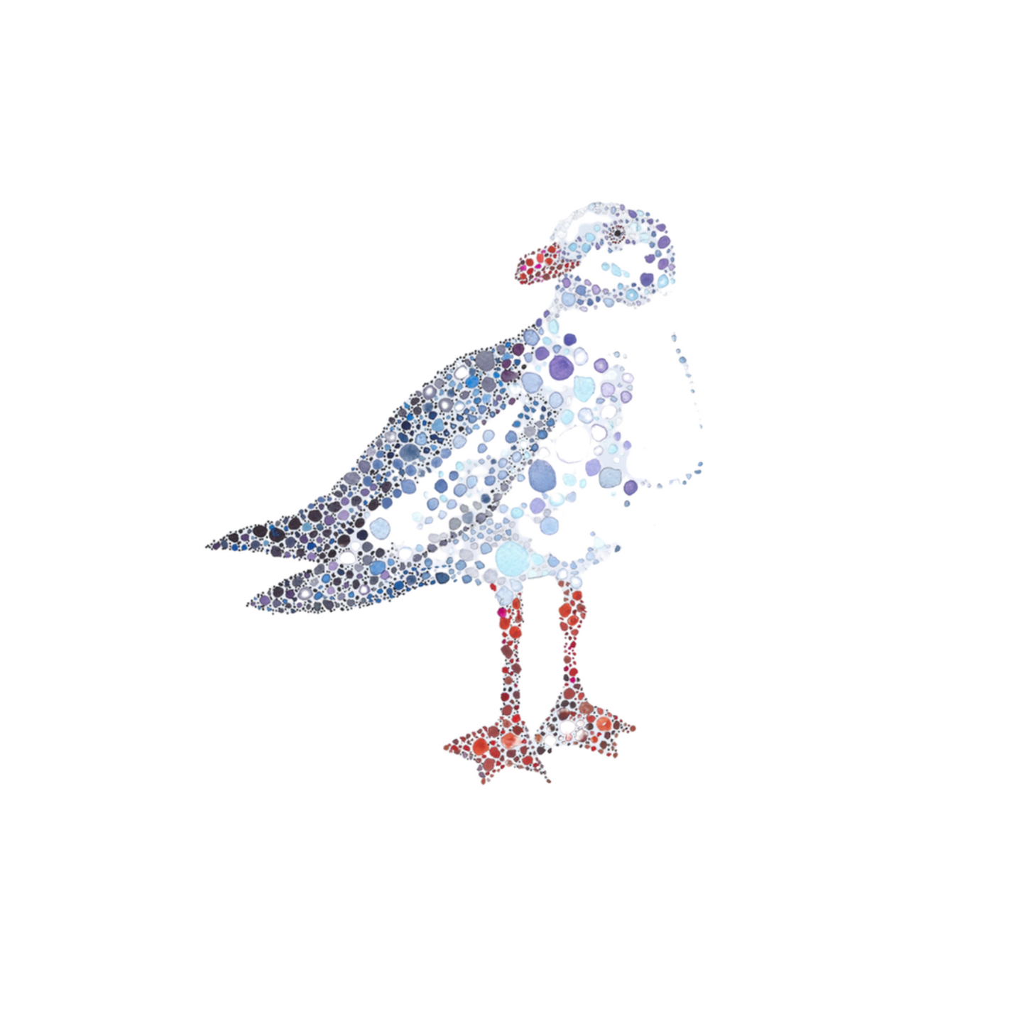 Seagull Watercolour Print