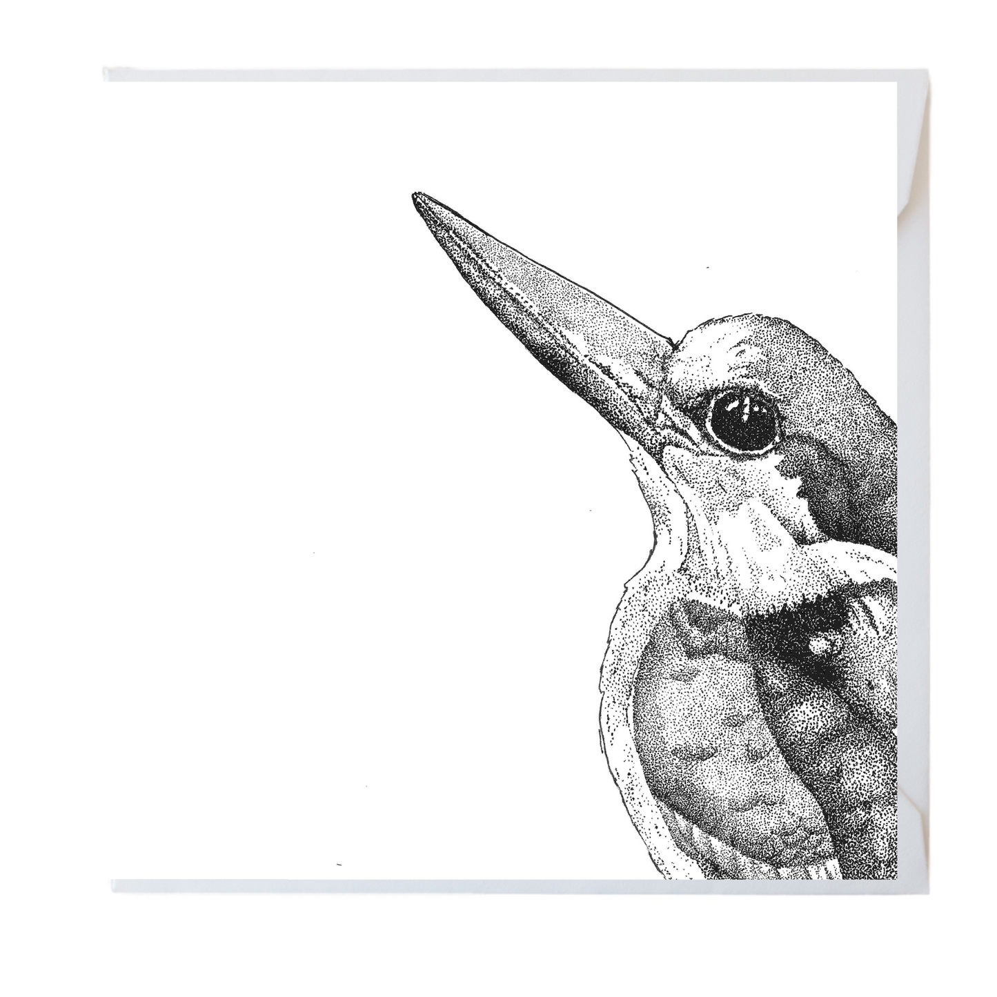 Kingfisher Greeting Card