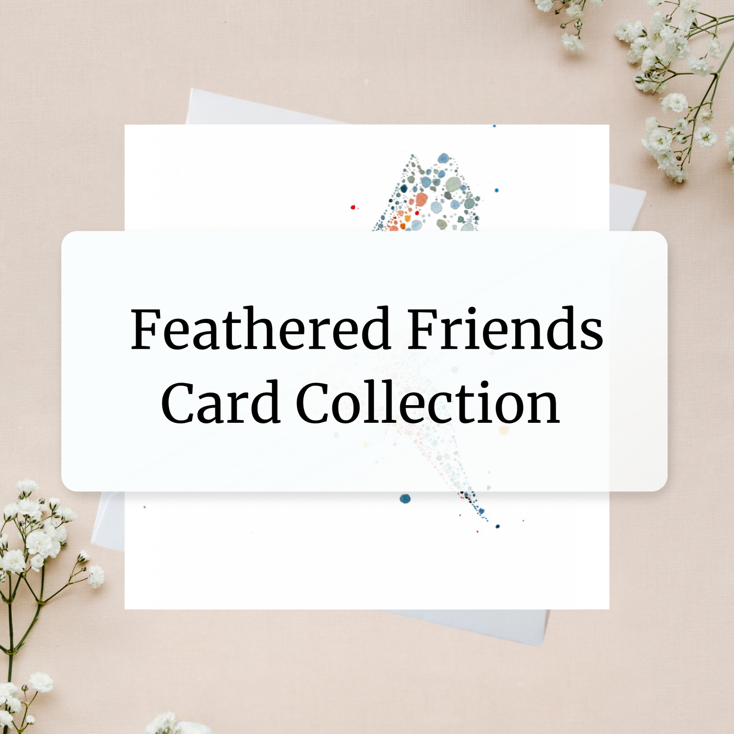 Feathered Friends Card Collection range