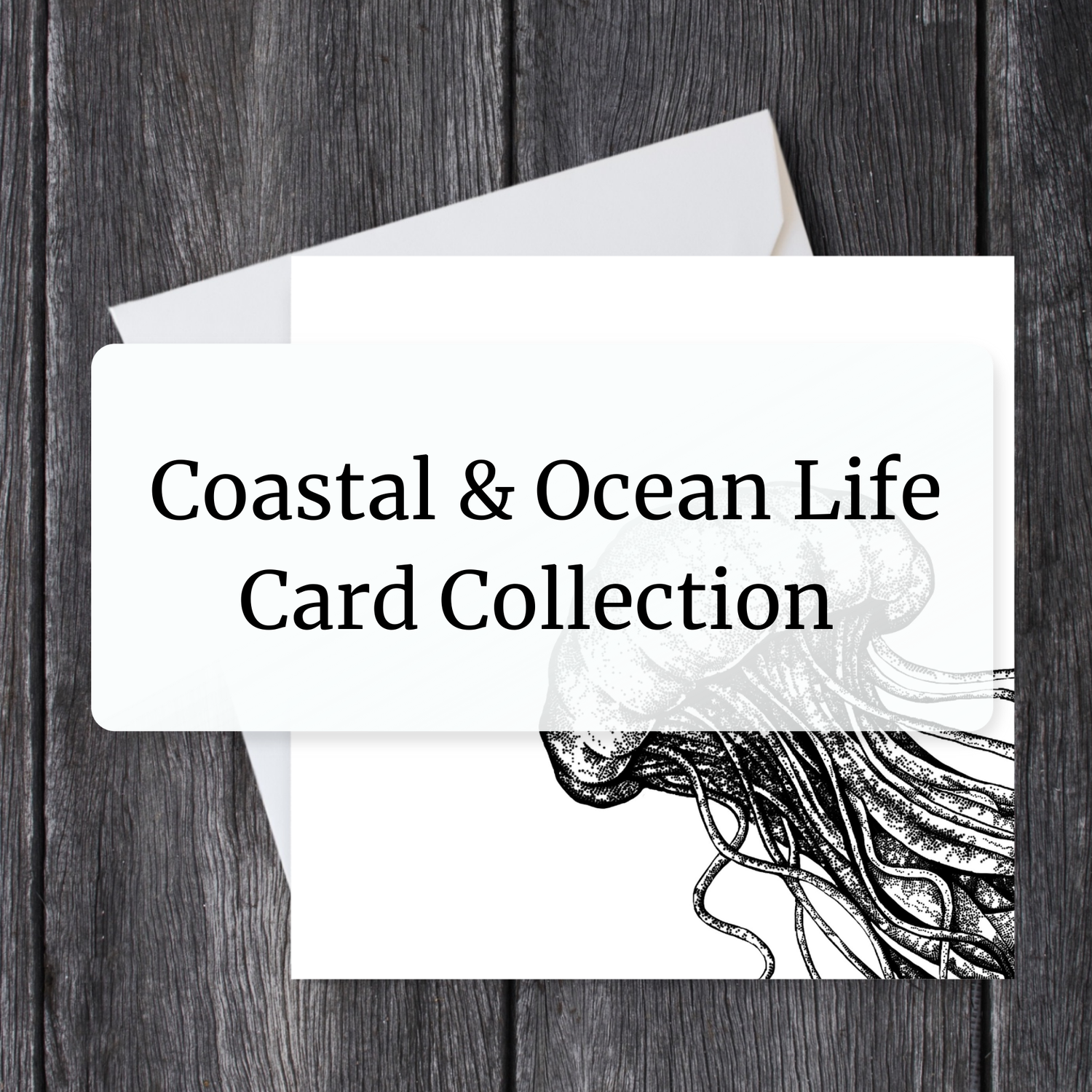Coastal & Ocean Life Card Collection