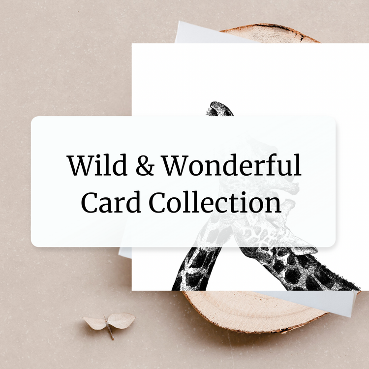 Wild & Wonderful Card Collection range