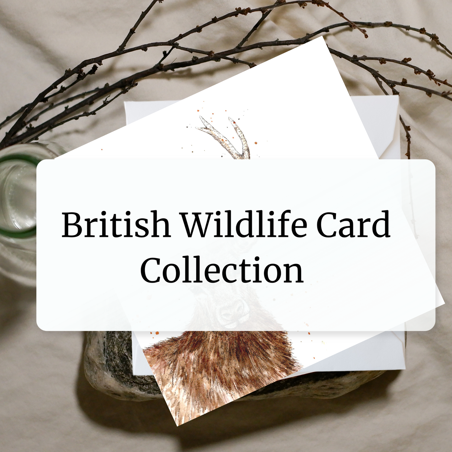 British Wildlife Card Collection