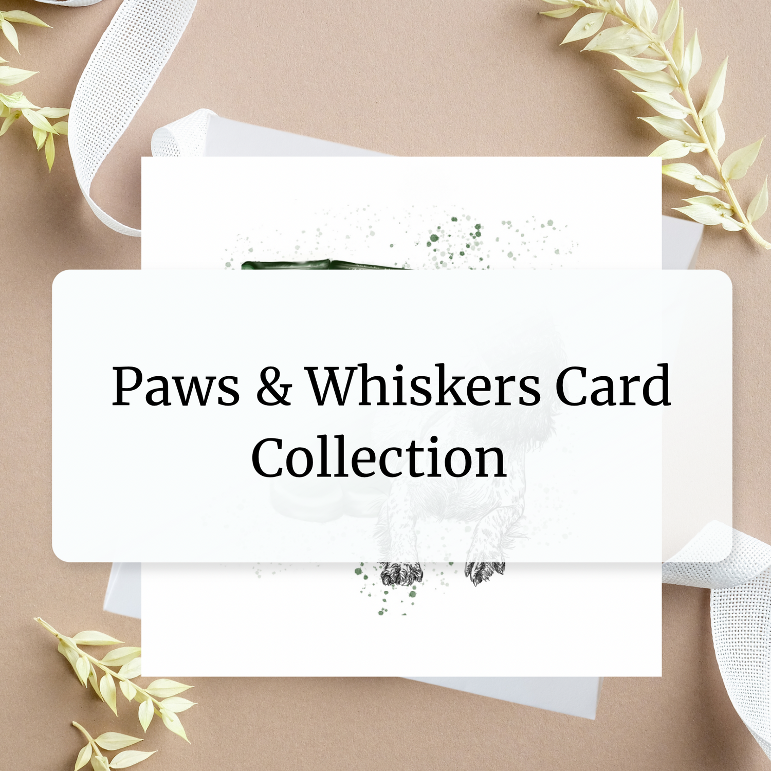 Paws & Whiskers Card Collection