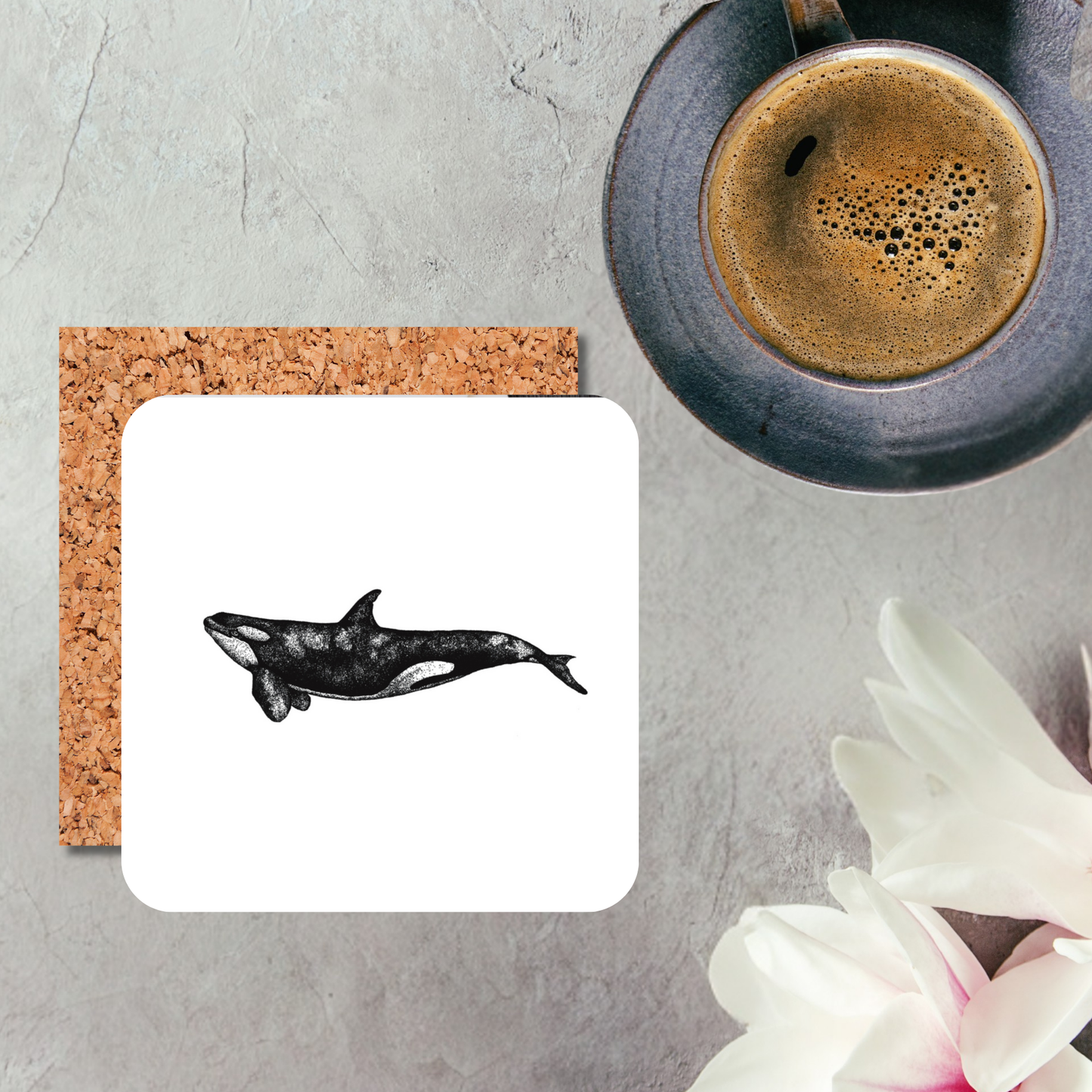 Orca Coaster