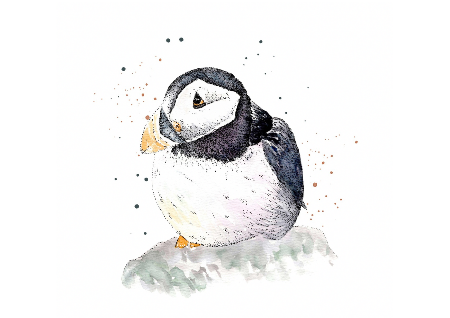 Watercolour Puffin Baby Card