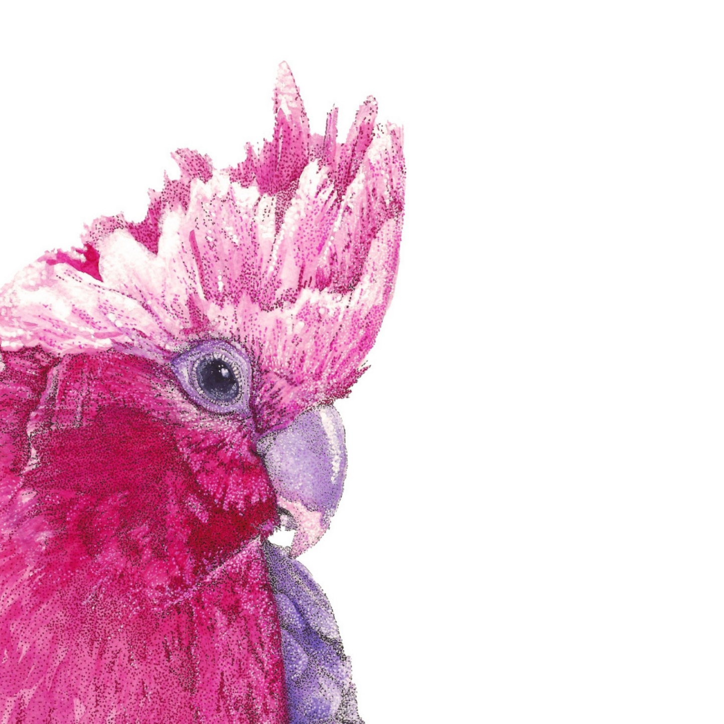 Watercolour Pink Gahla  Card