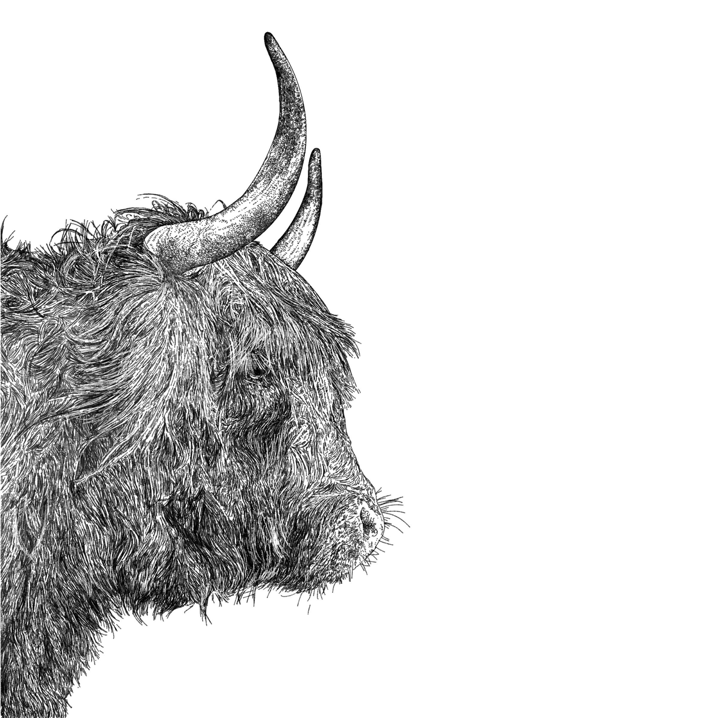 Personalised Highland Cow Card for Dad | Wildlife Father’s Day Greeting Card