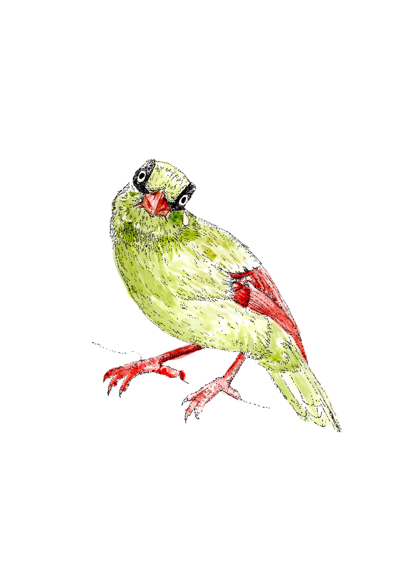 Bitdtober Art Prints *Limited Prints*