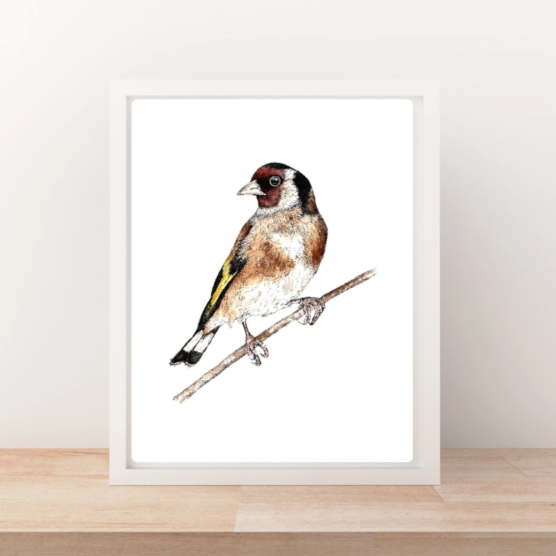 Golden Pause *Limited Edition Art Print*