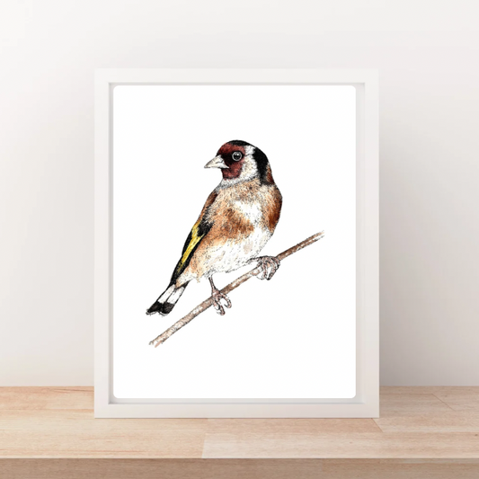 Golden Pause *Limited Edition Art Print*