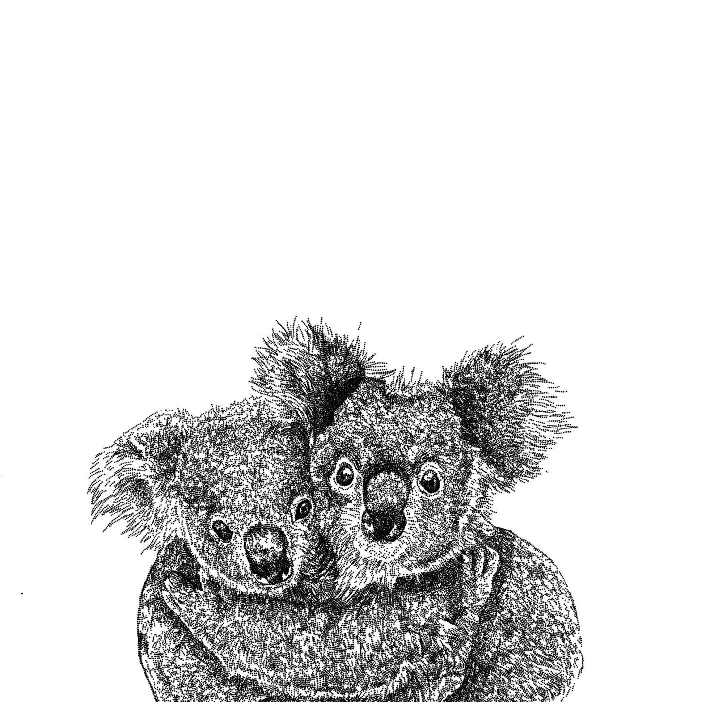 Koala Hugs Greeting Card