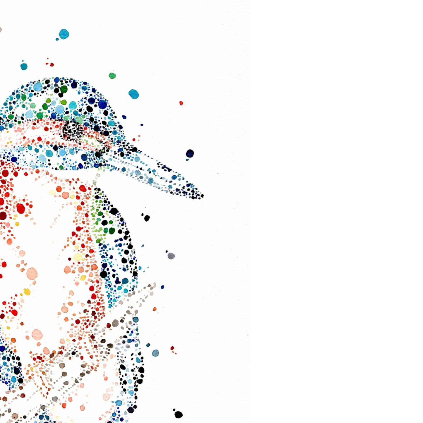 Watercolour Kingfisher Card