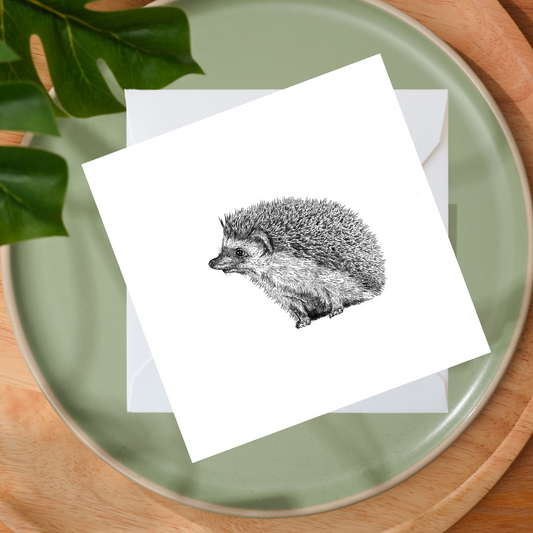Black & White Hedgehog Greeting Card