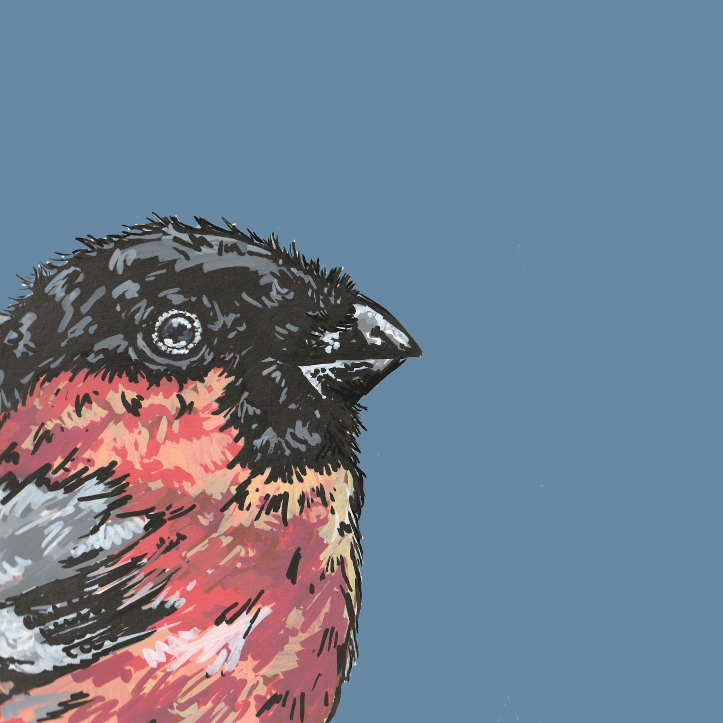 Bullfinch British Bird Art Print