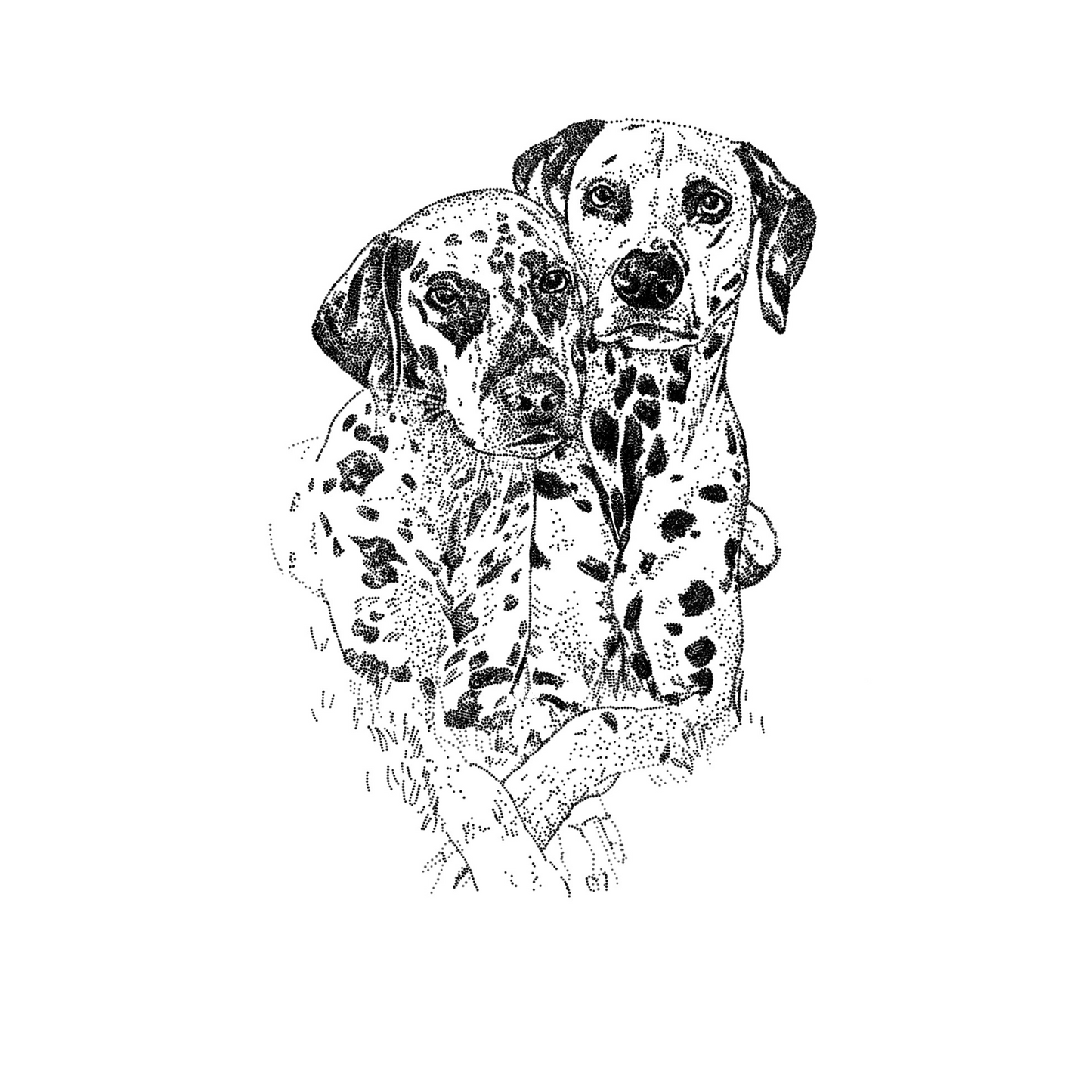 Dalmatian Pair Greeting Card