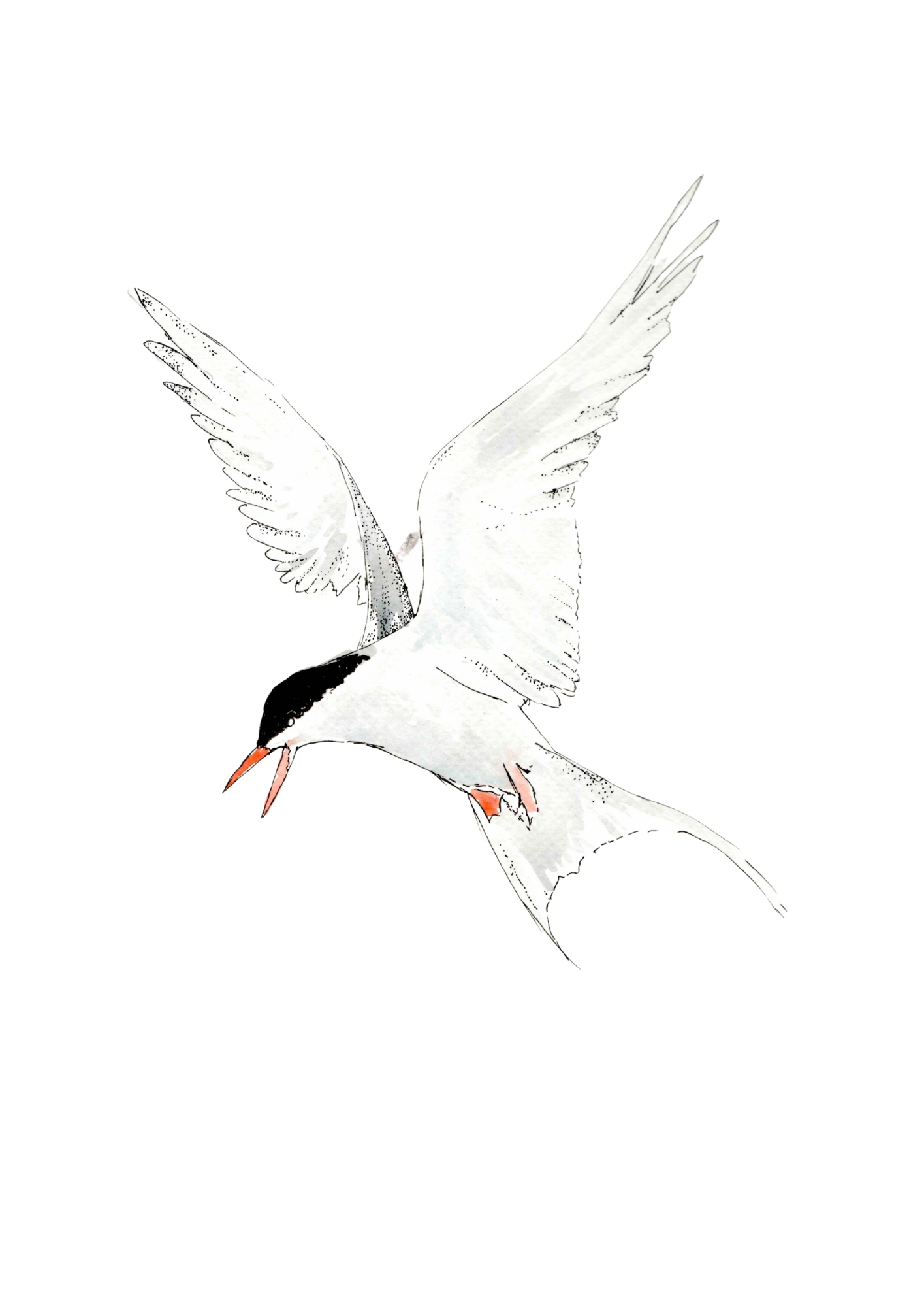 Bitdtober Art Prints *Limited Prints*