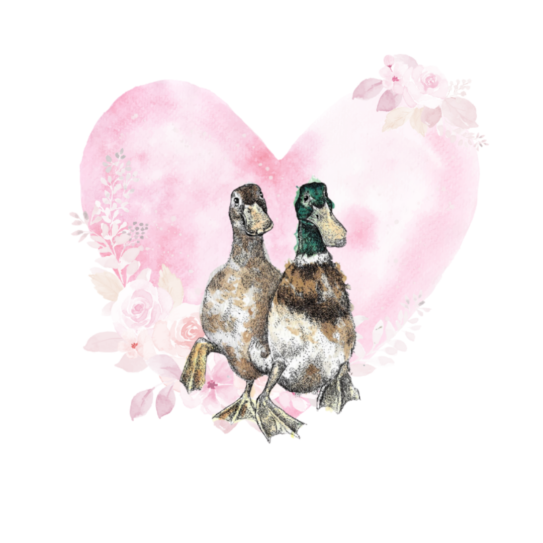 Duck Heart Love Greeting Card