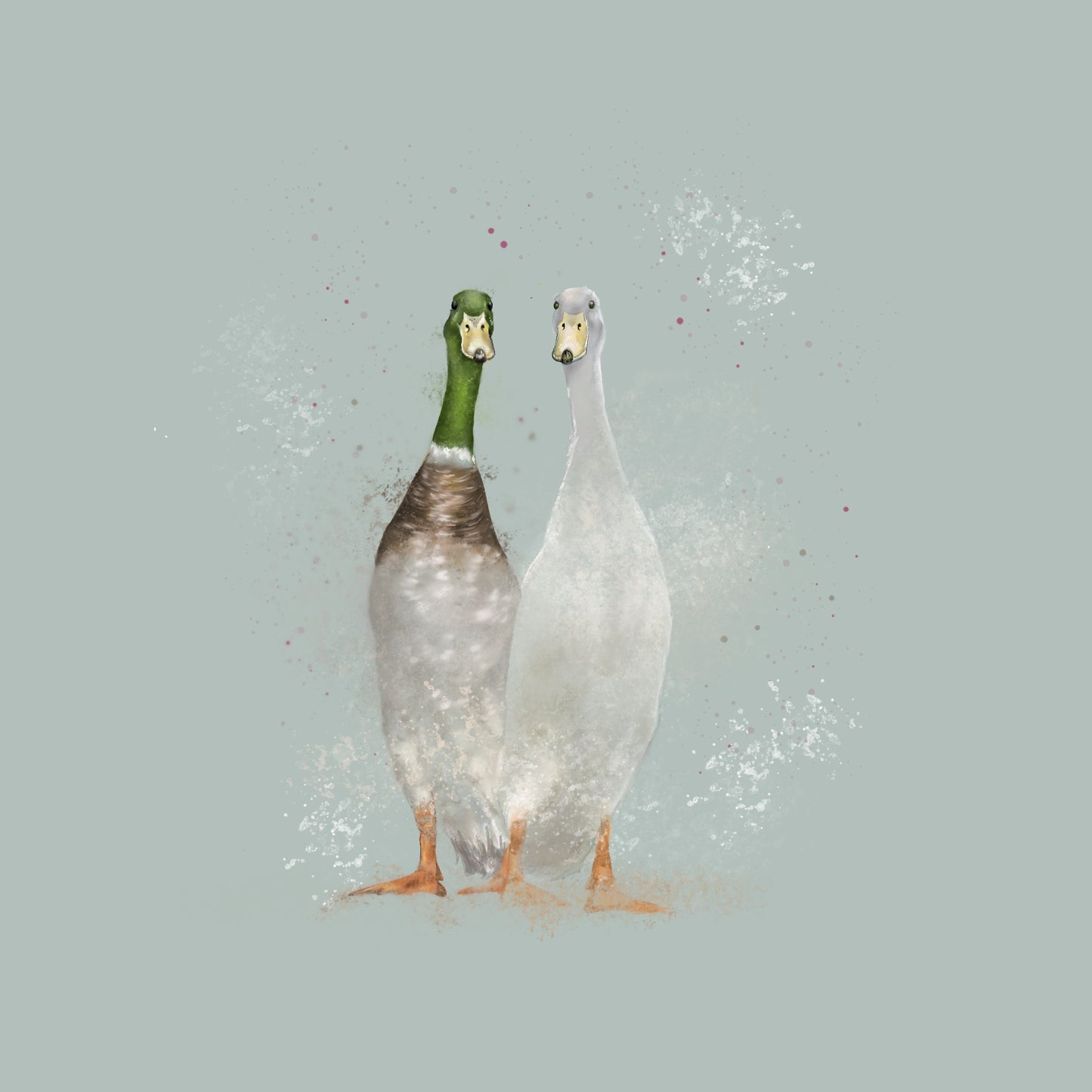 Runner Ducks Card