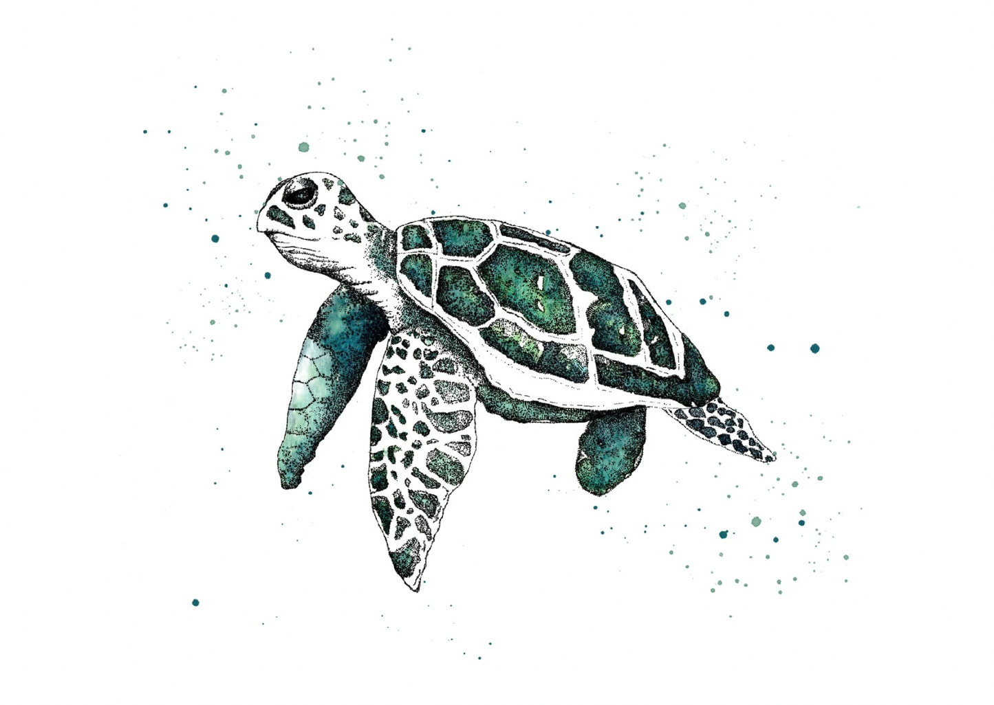 Watercolour Turtle Card