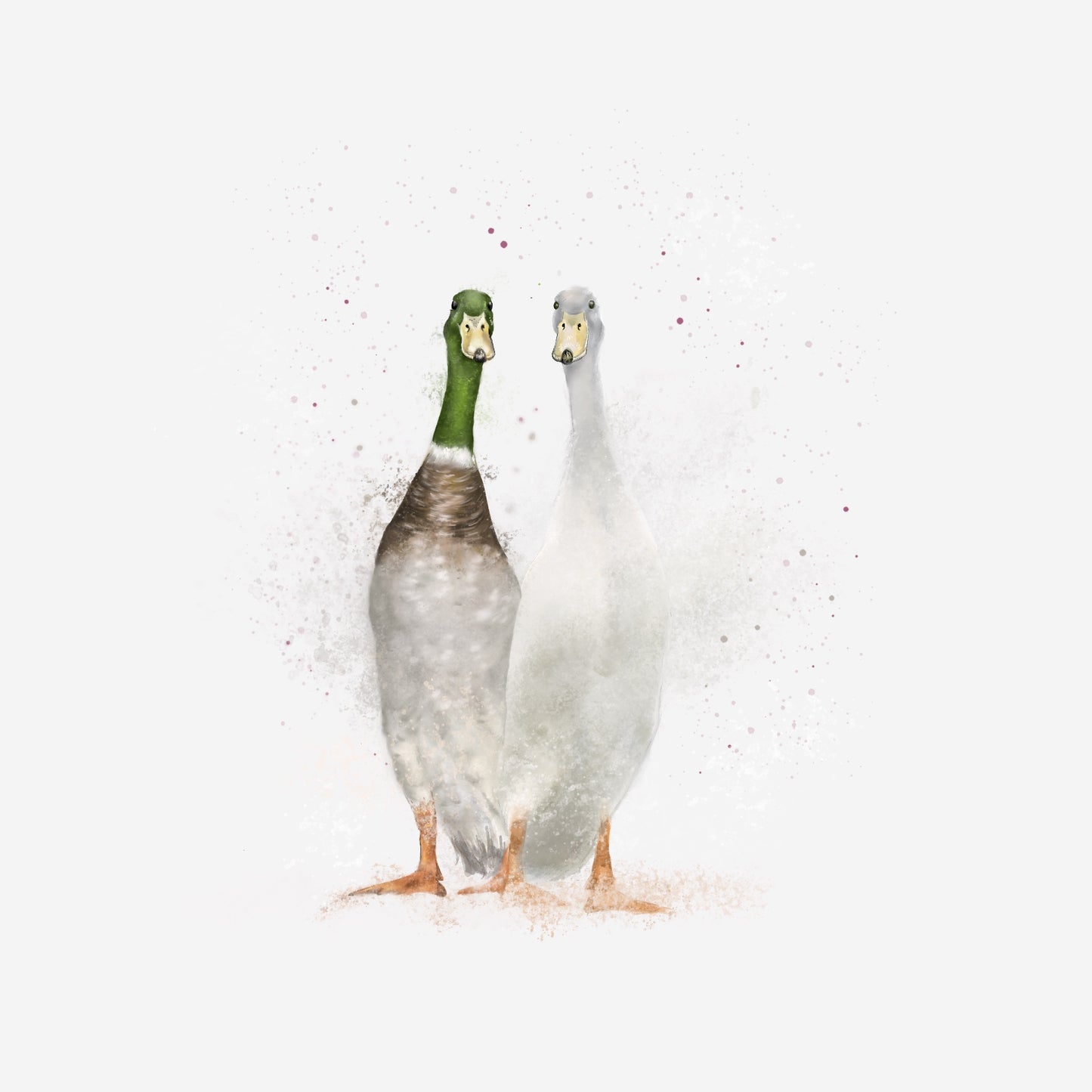 Runner Ducks Card