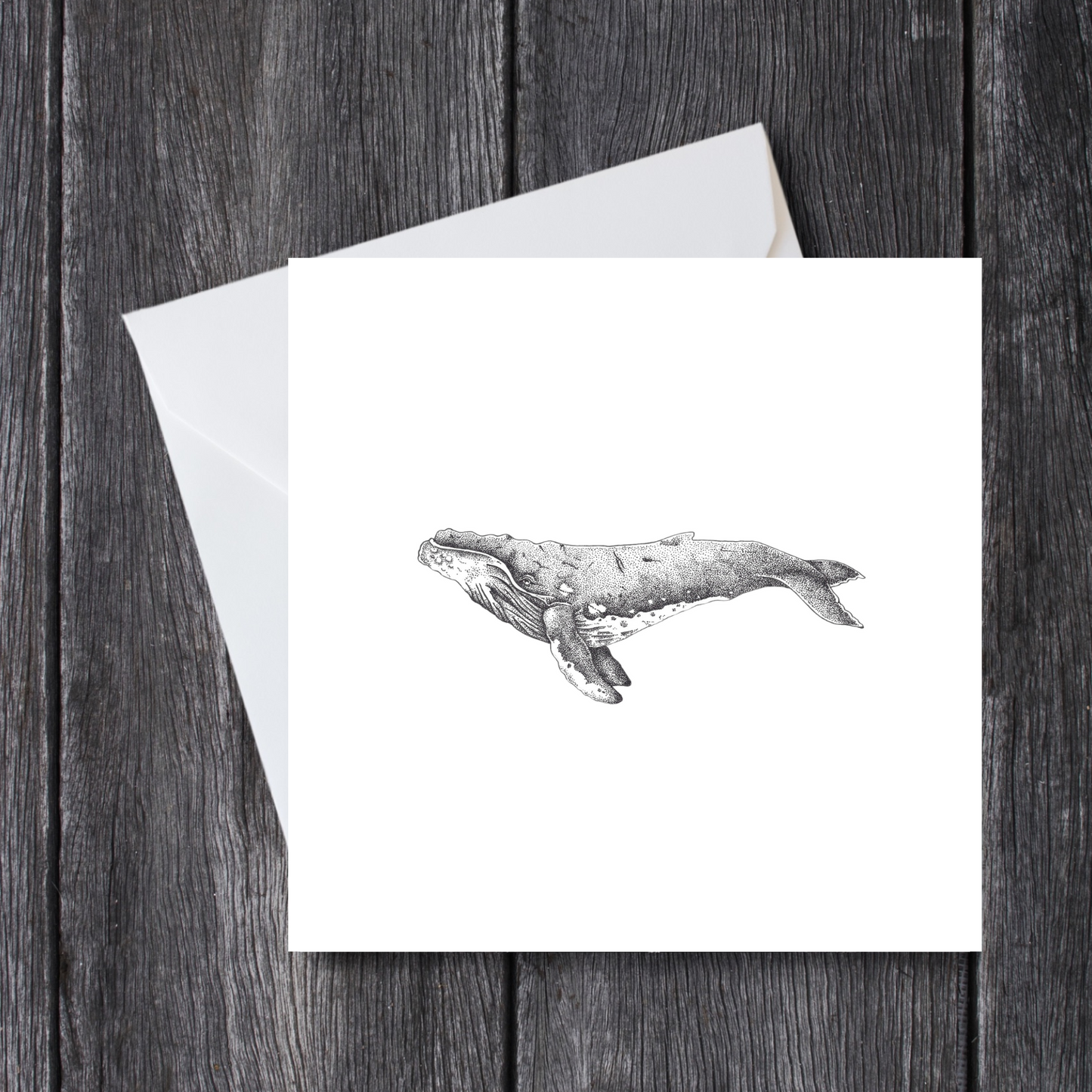Humpback Whale Card