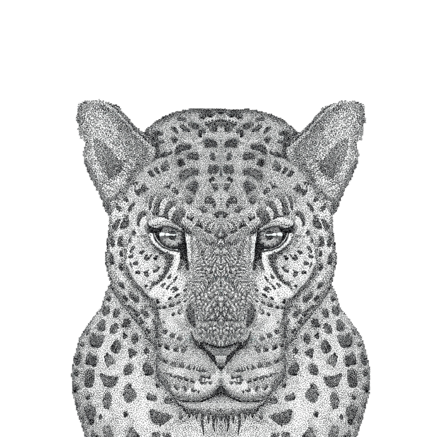 Jaguar Greeting Cards